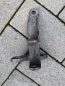 Preview: BMW M3 E30 Halter der Lichtmaschine Generator