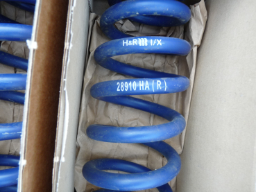 H&R lowering springs BMW 1M E82 M-Coupe  28910